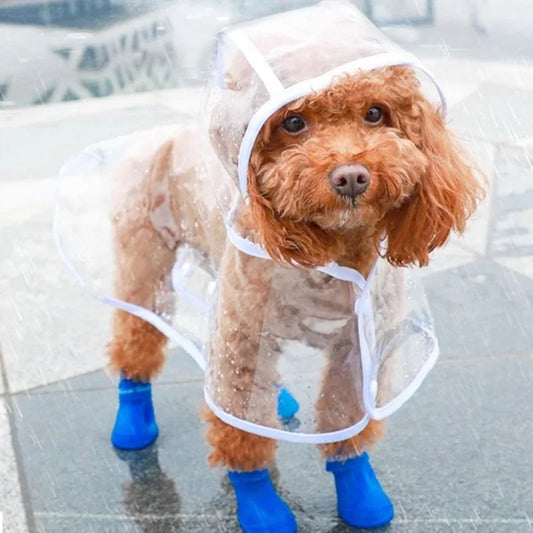 Solid Pet Rain Coat