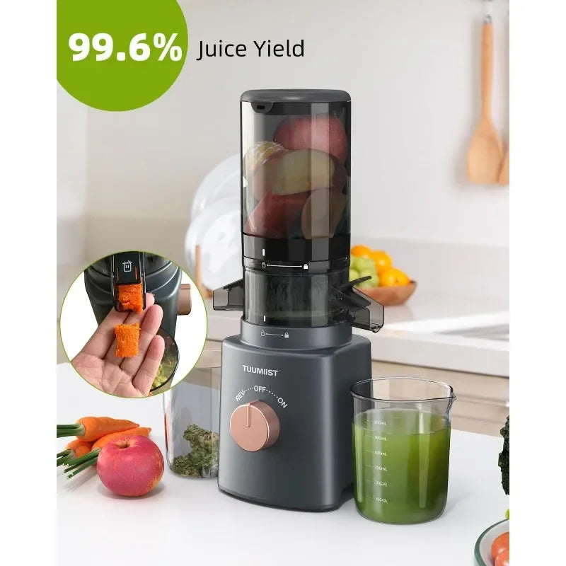 Bottle-Masticating Juicer Machines for Fruits and Veggies