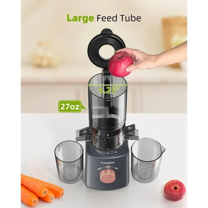 Bottle-Masticating Juicer Machines for Fruits and Veggies